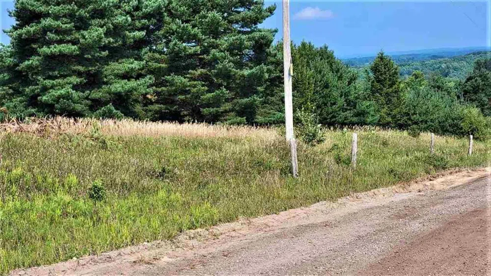 Cemetery Road Helena Township, MI 49612