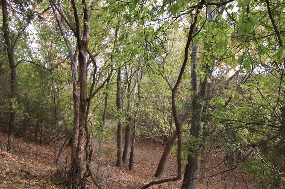 8170 US Hwy 281 Highway Blanco, TX 78606