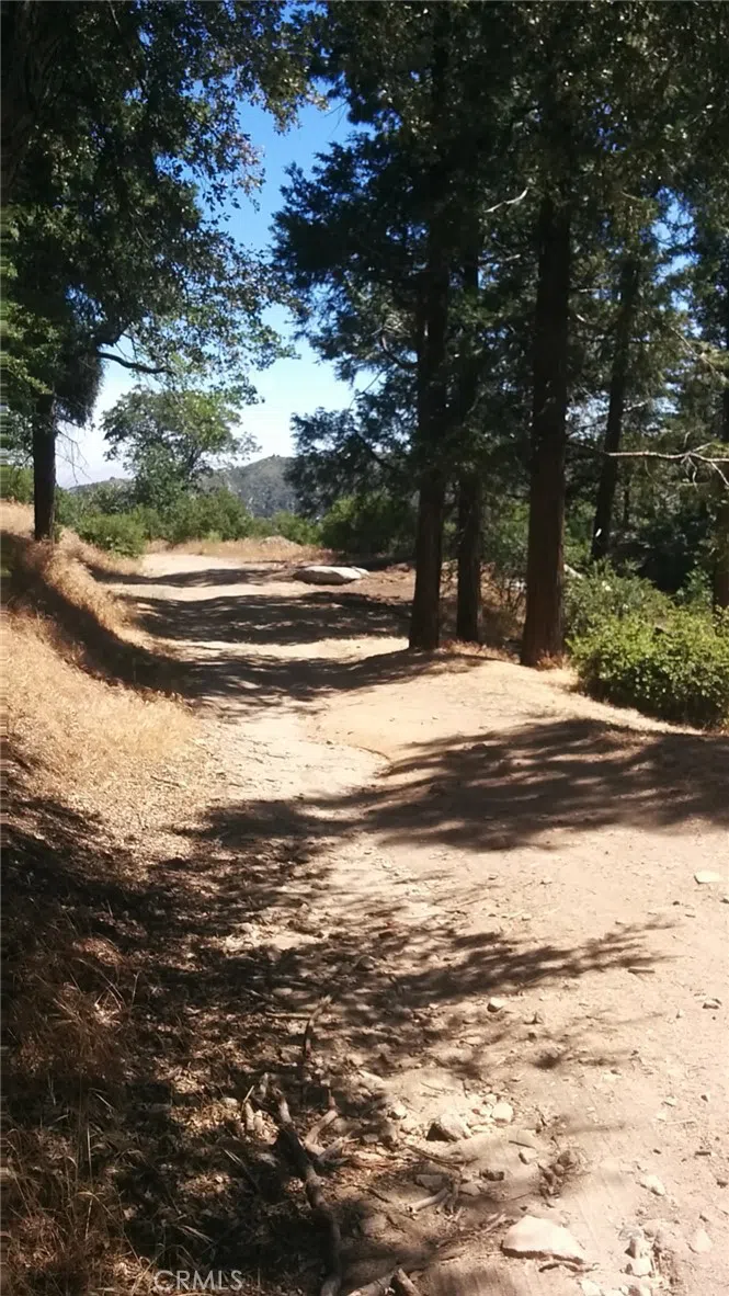 787 Burnt Cedarpines Park, CA 92322