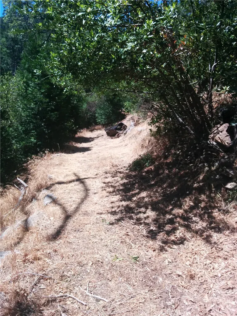 787 Burnt Cedarpines Park, CA 92322