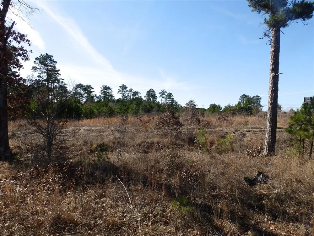 20175 Hwy 155 Flint, TX 75762