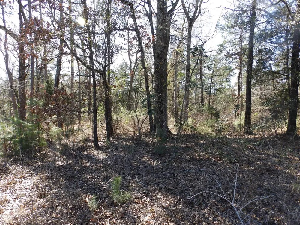 20175 Hwy 155 Flint, TX 75762