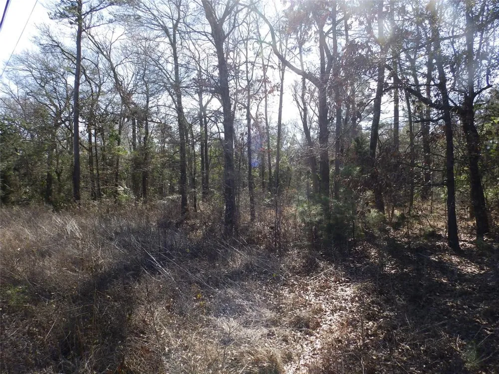 20175 Hwy 155 Flint, TX 75762