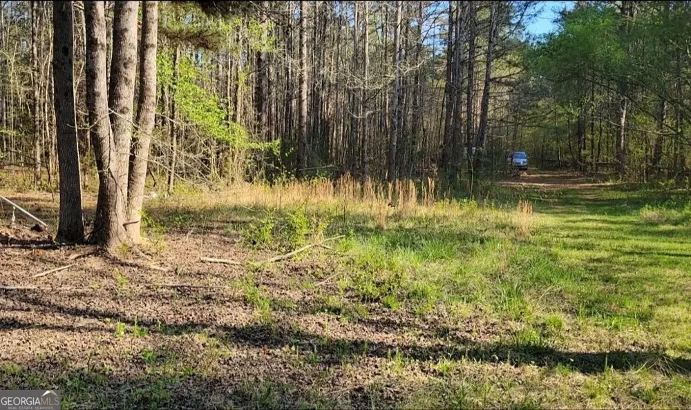 0 Pierce Dairy RD Madison, GA 30650