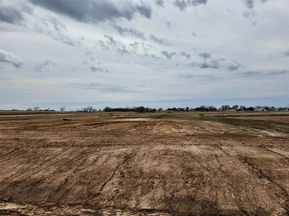 116 Trumpet Court Paradise, TX 76073