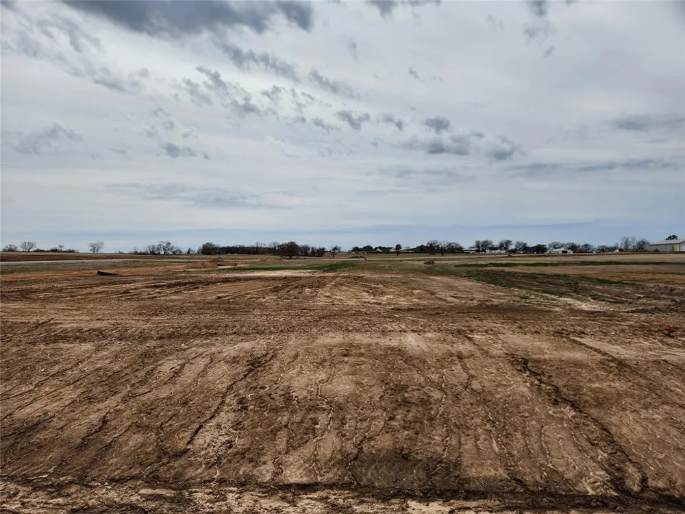 116 Trumpet Court Paradise, TX 76073