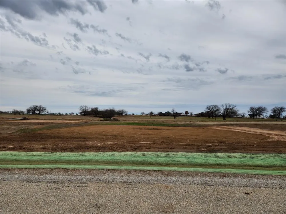 169 Lonicera Lane Paradise, TX 76073