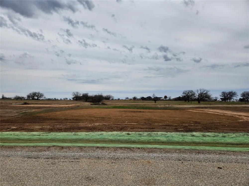 169 Lonicera Lane Paradise, TX 76073