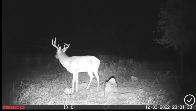 349 HCR 1314 Hillsboro, TX 76645