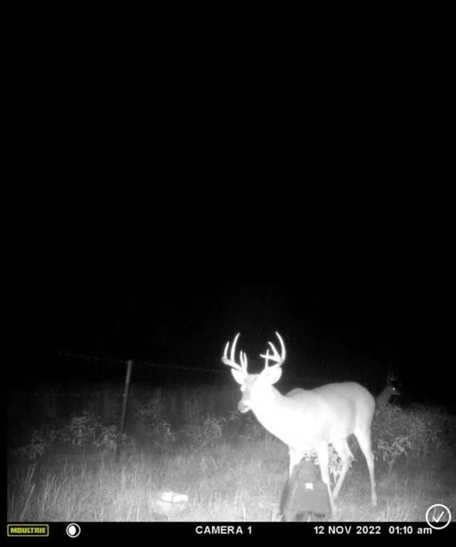 349 HCR 1314 Hillsboro, TX 76645