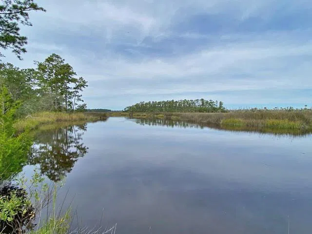 0 La Sole Lane Waverly, GA 31565