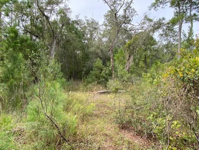 0 La Sole Lane Waverly, GA 31565