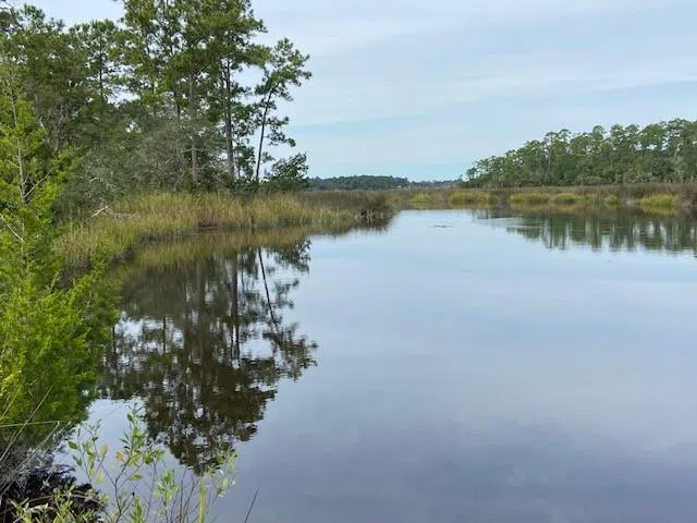 0 La Sole Lane Waverly, GA 31565