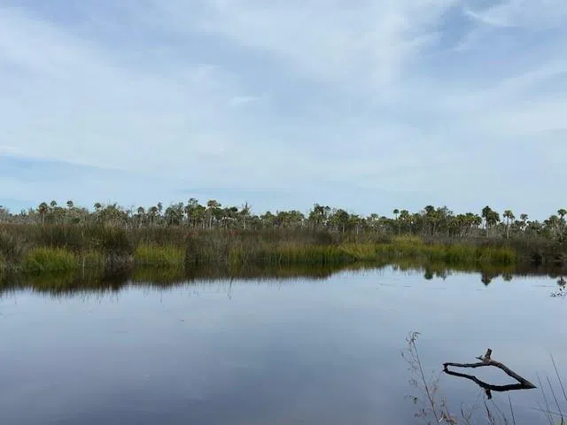 0 La Sole Lane Waverly, GA 31565