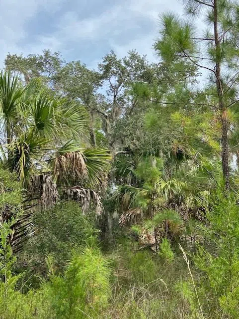 0 La Sole Lane Waverly, GA 31565