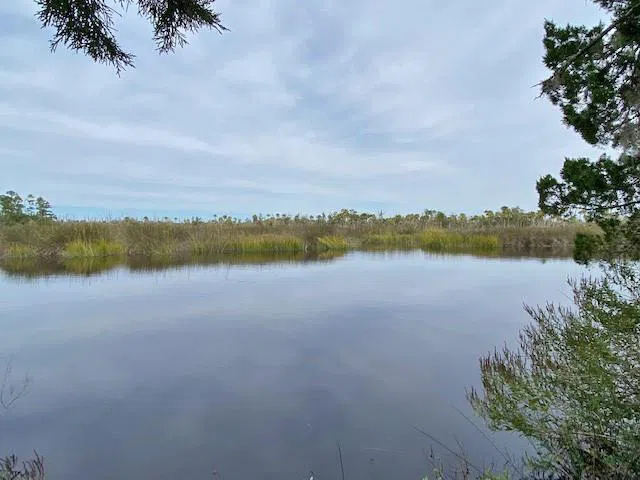 0 La Sole Lane Waverly, GA 31565