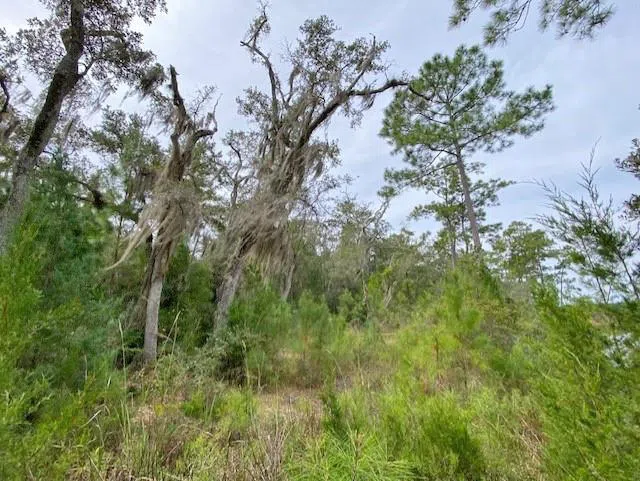 0 La Sole Lane Waverly, GA 31565