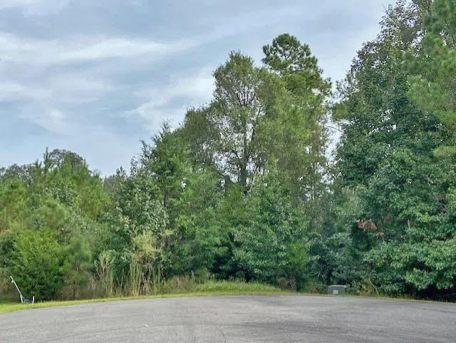 0 La Sole Lane Waverly, GA 31565