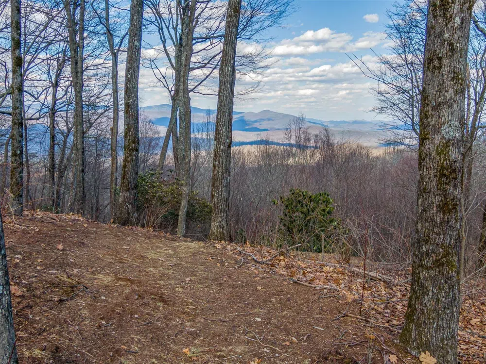 P 1&2 Panther Summit Drive Lake Toxaway, NC 28747