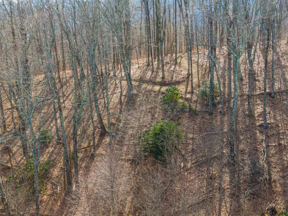 P 1&2 Panther Summit Drive Lake Toxaway, NC 28747
