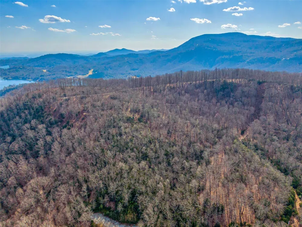 P 1&2 Panther Summit Drive Lake Toxaway, NC 28747