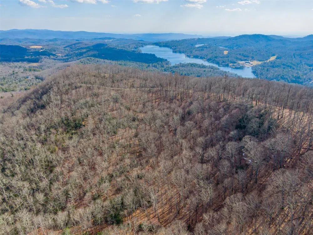 P 1&2 Panther Summit Drive Lake Toxaway, NC 28747