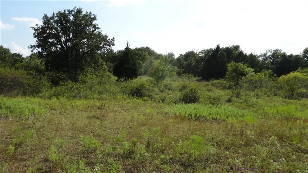 Hwy 114 Boyd, TX 76023