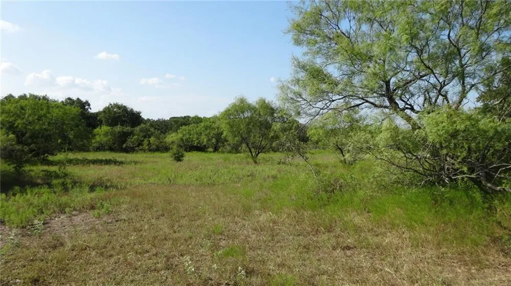 Hwy 114 Boyd, TX 76023