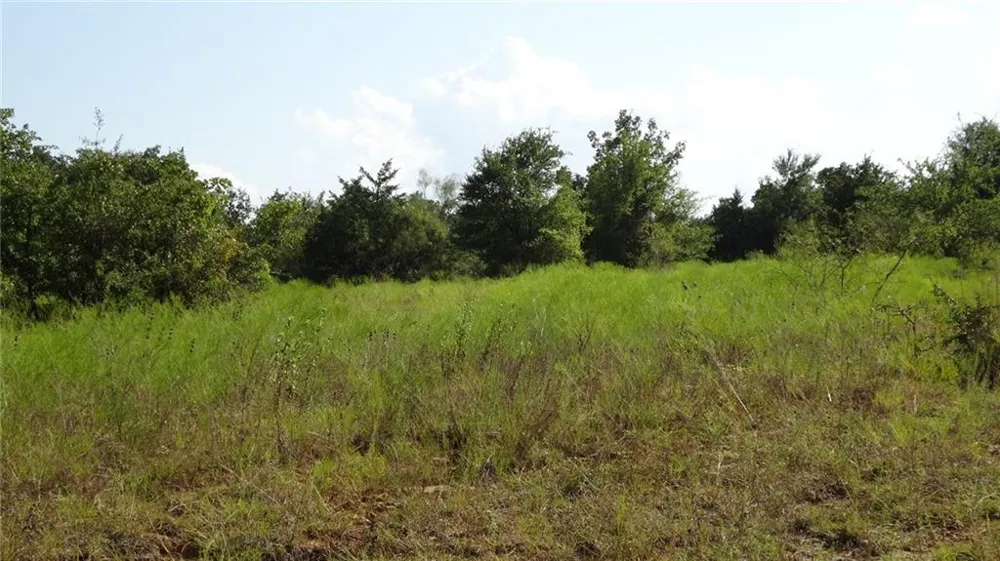 Hwy 114 Boyd, TX 76023