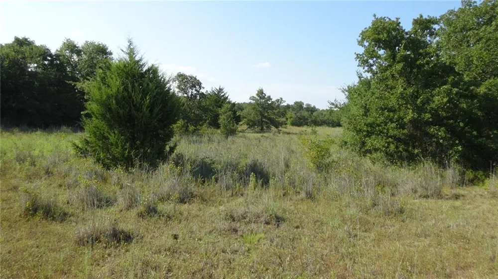 Hwy 114 Boyd, TX 76023