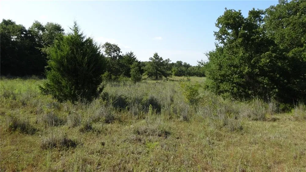 Hwy 114 Boyd, TX 76023
