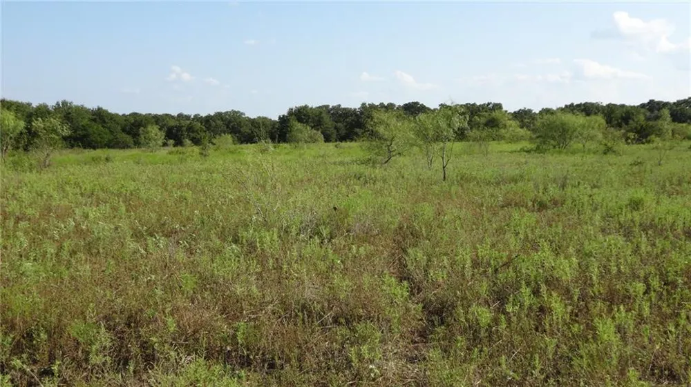 Hwy 114 Boyd, TX 76023