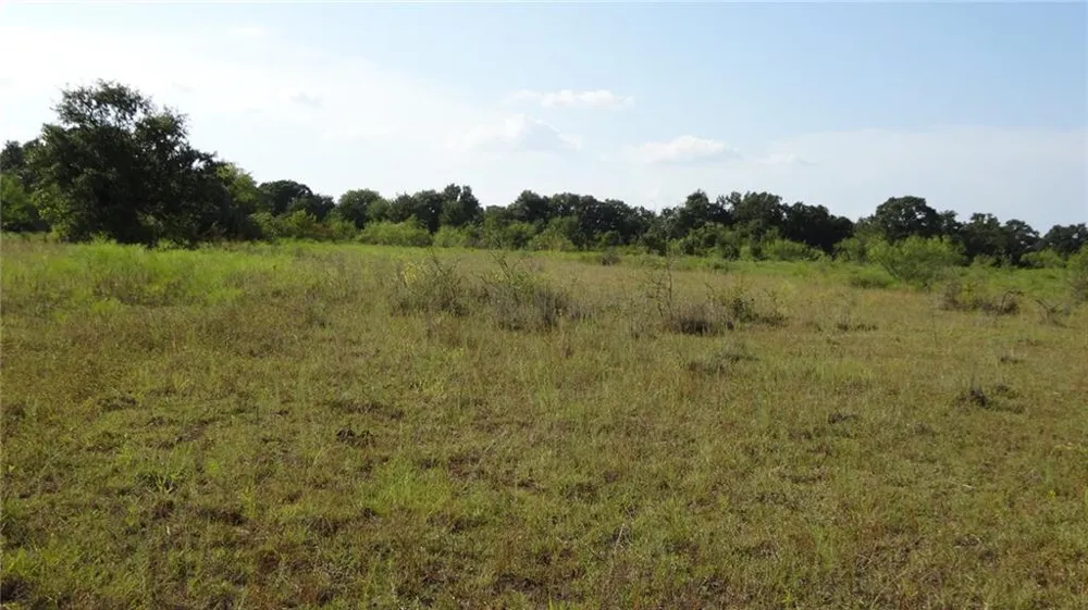 Hwy 114 Boyd, TX 76023