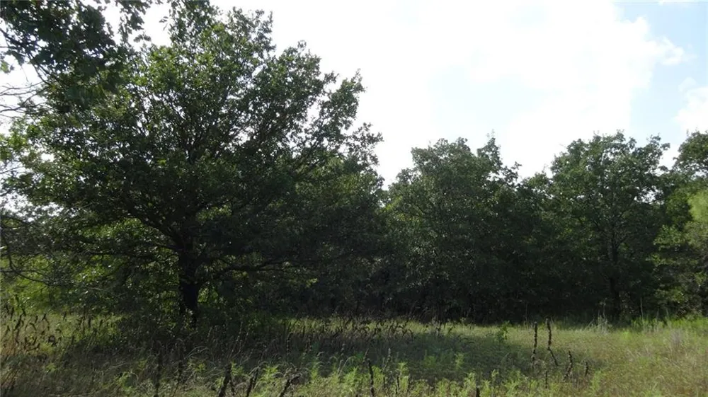 Hwy 114 Boyd, TX 76023