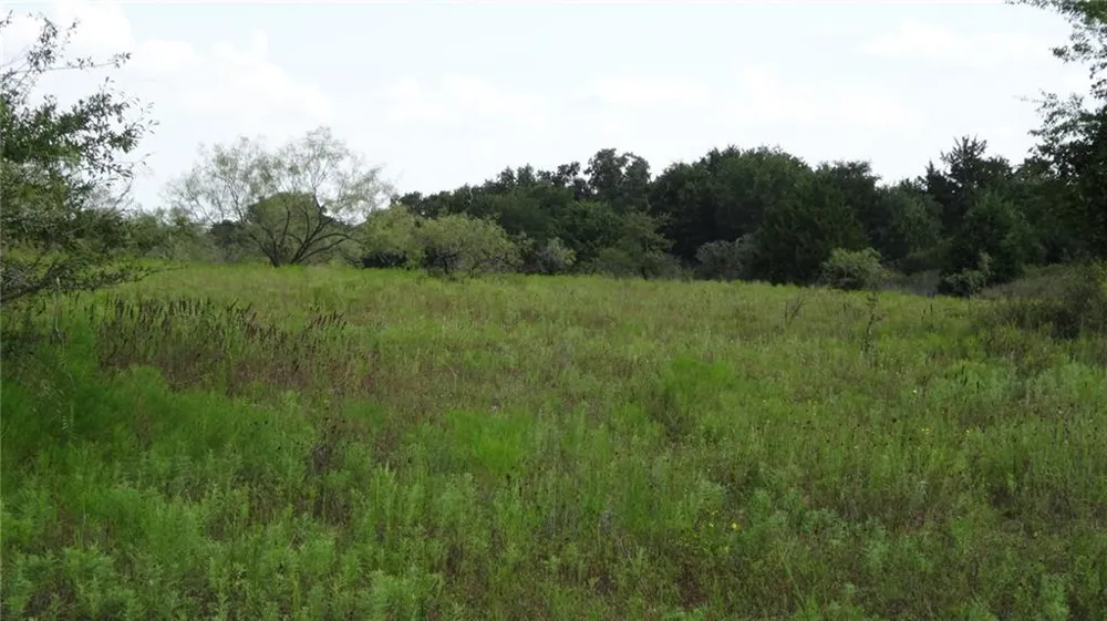 Hwy 114 Boyd, TX 76023