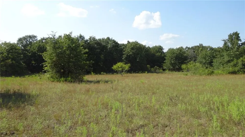 Hwy 114 Boyd, TX 76023