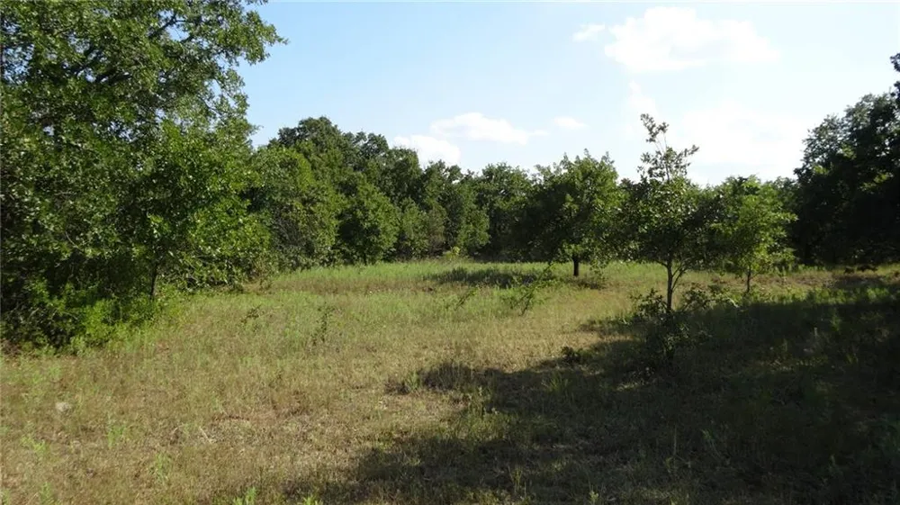 Hwy 114 Boyd, TX 76023
