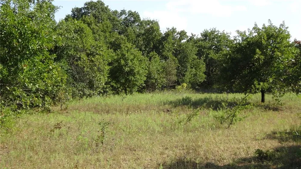 Hwy 114 Boyd, TX 76023