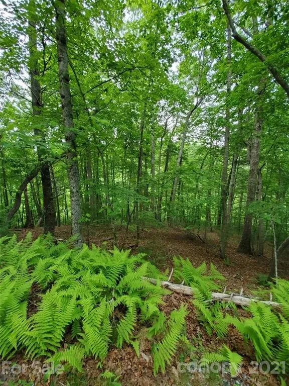 141 River Club Trail #8 Marshall, NC 28753
