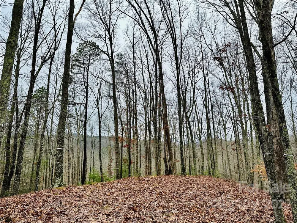 921 Wild River Run #33 Marshall, NC 28753