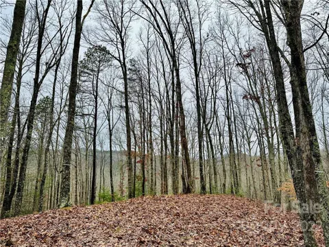 921 Wild River Run #33