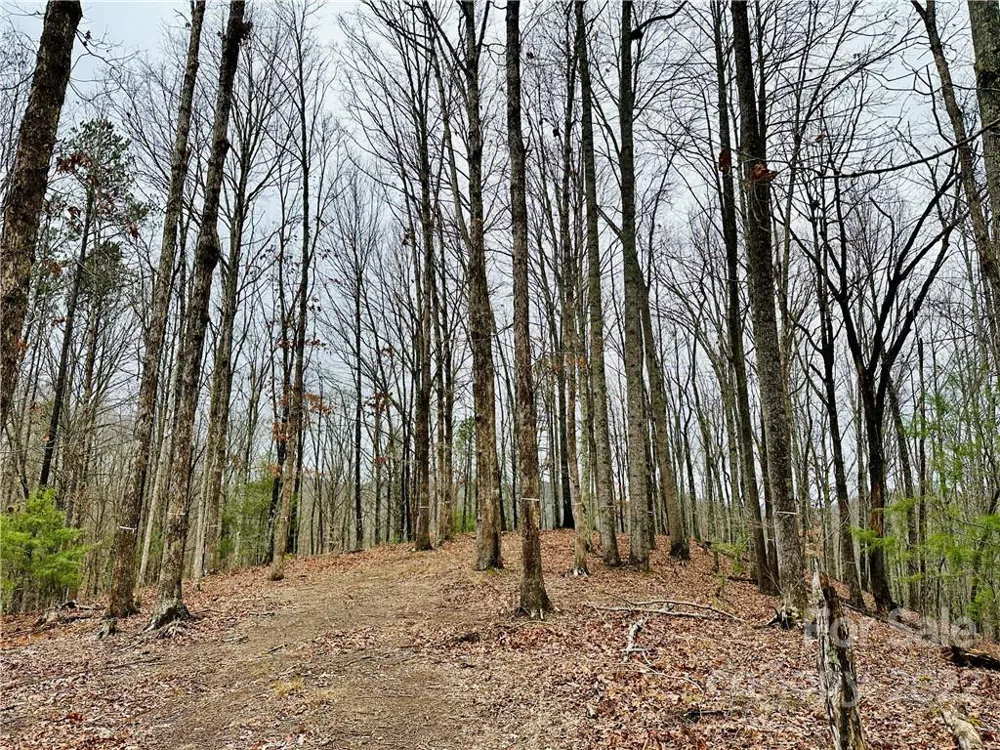 921 Wild River Run #33 Marshall, NC 28753