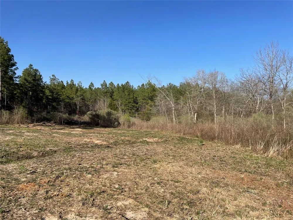 Louisiana 157 Highway Benton, LA 71006