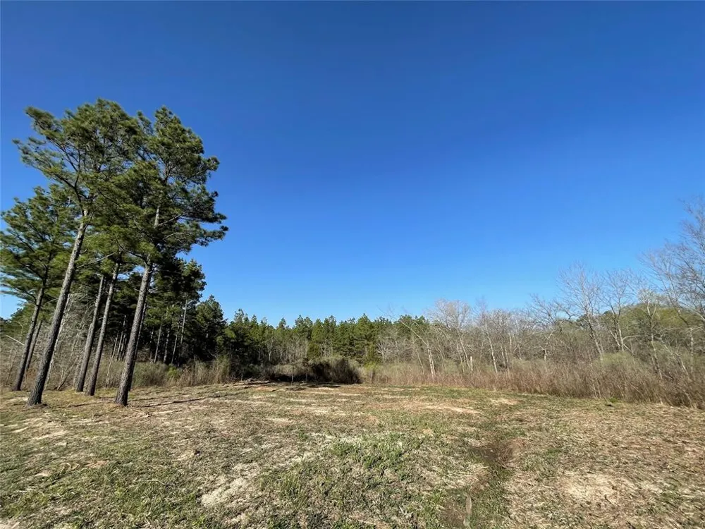 Louisiana 157 Highway Benton, LA 71006