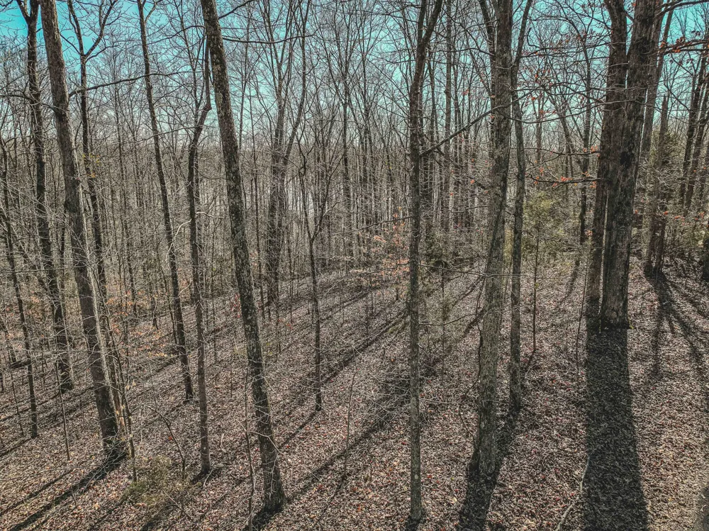 0 Fawn Ridge Rd Parsons, TN 38363