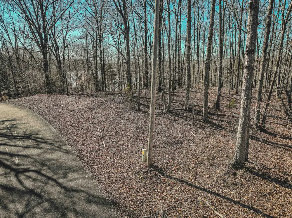 0 Fawn Ridge Rd Parsons, TN 38363