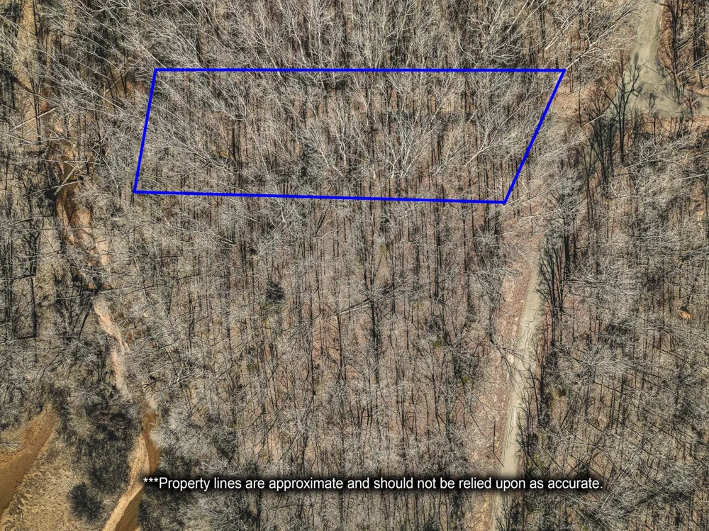 0 Fawn Ridge Rd Parsons, TN 38363