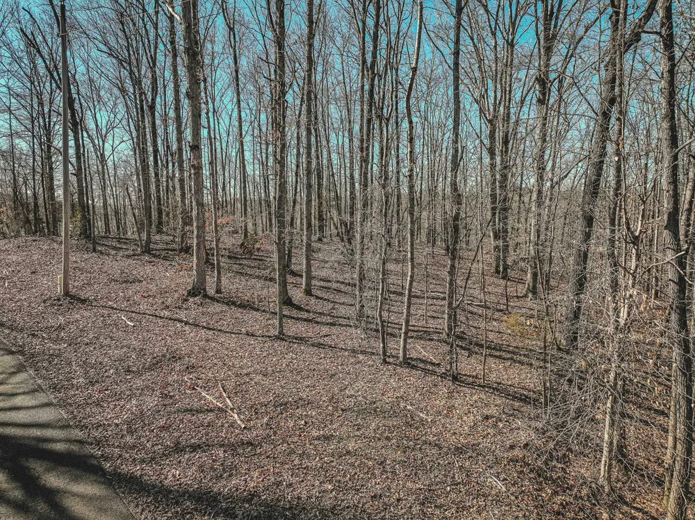 0 Fawn Ridge Rd Parsons, TN 38363