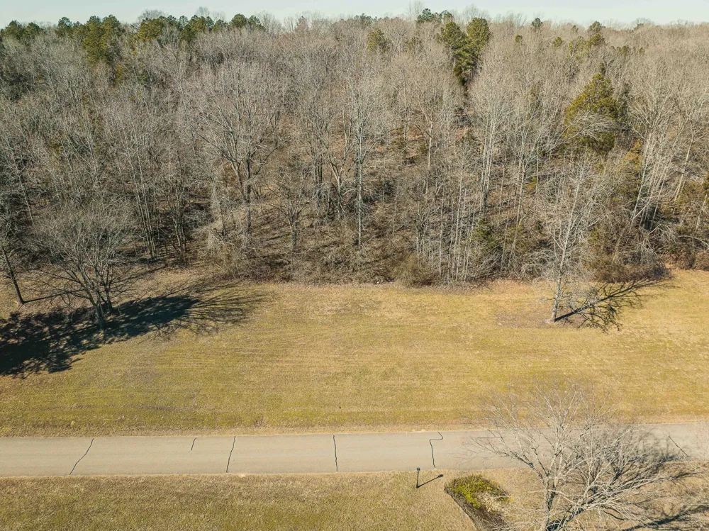 0 Creek Ridge Cove Parsons, TN 38363