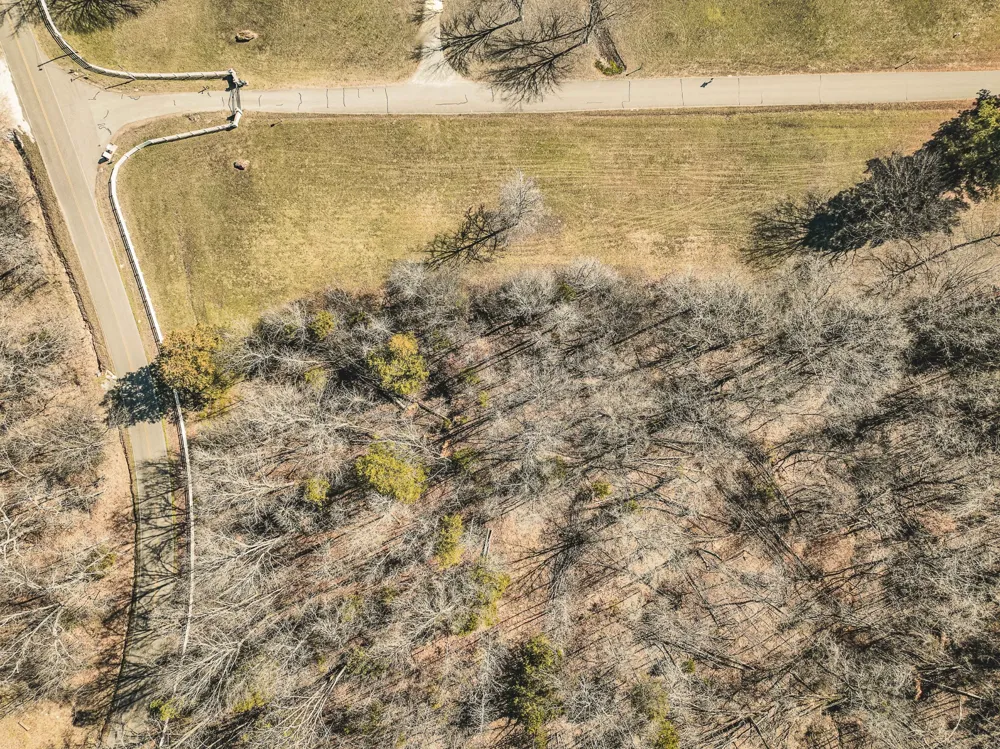 0 Creek Ridge Cove Parsons, TN 38363